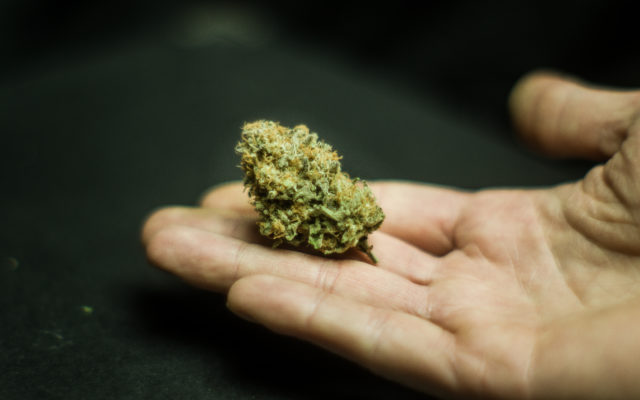 Minnesota making additions to medical marijuana program in 2020