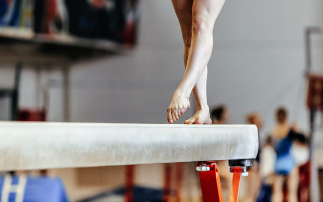 Deuel gymnastics rolls at Region 1A meet
