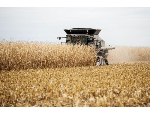 South Dakota harvest ahead of schedule; yields down due to drought