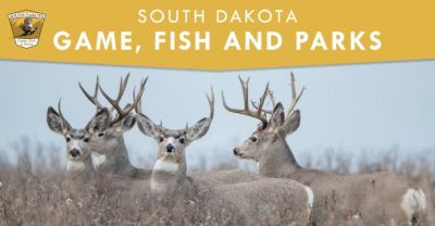Deer Season Applications Period Open – Deadline to Apply June 12