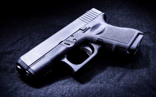Gun bill in HOA’s continues on fast track through SD Legislature  (Audio)