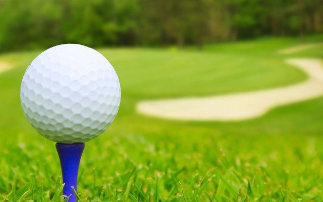 Day one of state golf meet wraps