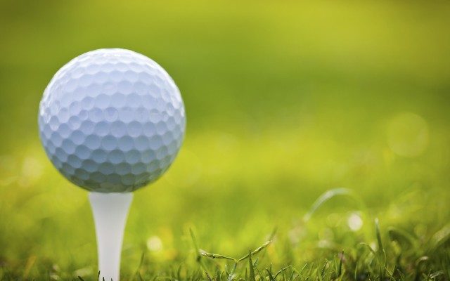 Five local golfers tops at SDGA Junior stop at Arlington