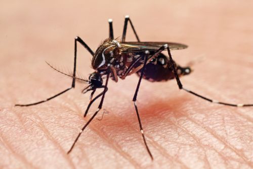 South Dakota records first human case of moquitor-borne West Nile virus of 2020