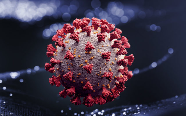 Longer-term trend for coronavirus infections in South Dakota is rising