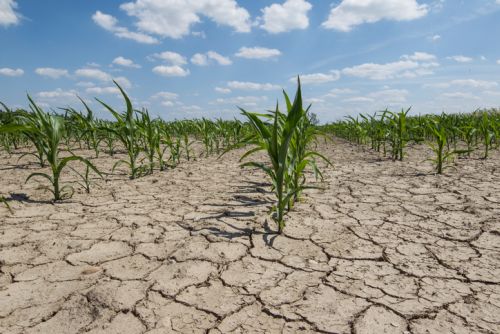 Forecast for spring: Drought worsens for much of US