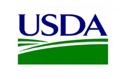USDA getting tougher on salmonella in chicken products