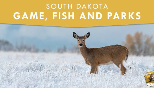 Chronic Wasting Disease Detected in New Area of South Dakota