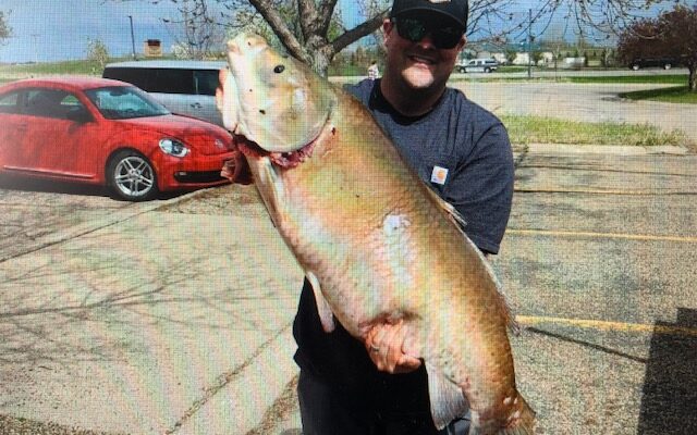 Record setting buffalo fish caught in North Dakota
