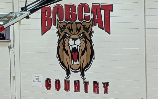Rohrbach named new Bobcats basketball coach