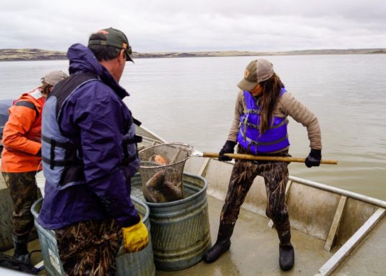 Fish populations affected by severe winter kill, restoration efforts underway
