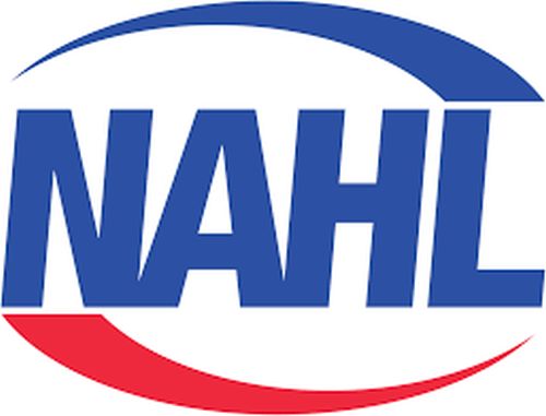 Holien: Watertown’s chances of landing junior hockey team looking “probable”  (Audio)