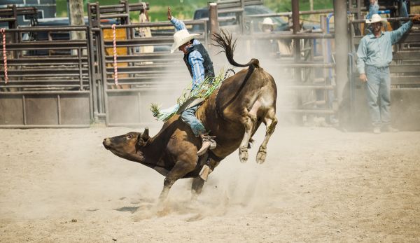 Pro rodeo at Derby Downs expanding to three day event this year  (Audio)